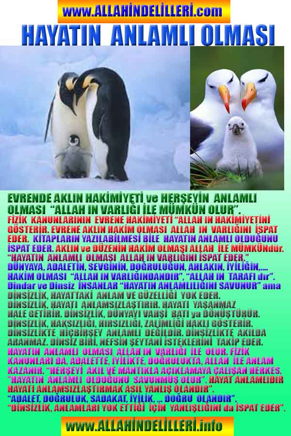 Allahin varlığının delilleri nelerdir?, allahin delilleri, allah in delilleri, allah-delilleri, allah var, #allah