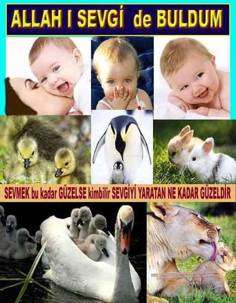 Allahin varlığının delilleri nelerdir?, allahin delilleri, allah in delilleri, allah-delilleri, allah var, #allah