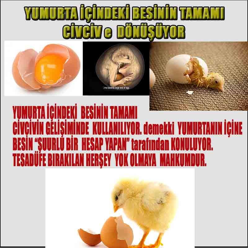 ALLAH, Allahin varlığının delilleri nelerdir?, allahin delilleri, allah in delilleri, allah-delilleri, allah var, #allah