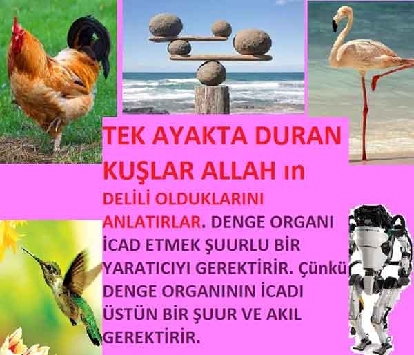 ALLAH, Allahin varlığının delilleri nelerdir?, allahin delilleri, allah in delilleri, allah-delilleri, allah var, #allah