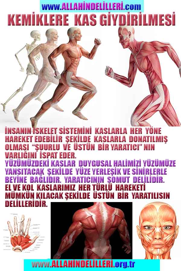 Allahin varlığının delilleri nelerdir?, allahin delilleri, allah in delilleri, allah-delilleri, allah var, #allah