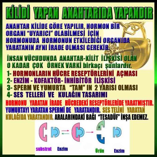 ALLAH, Allahin varlığının delilleri nelerdir?, allahin delilleri, allah in delilleri, allah-delilleri, allah var, #allah