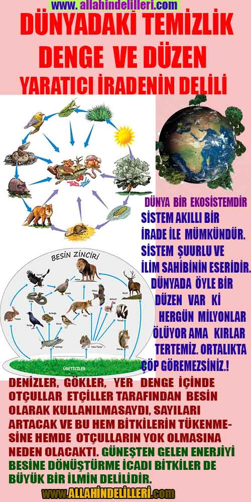 Allahin varlığının delilleri nelerdir?, allahin delilleri, allah in delilleri, allah-delilleri, allah var, #allah