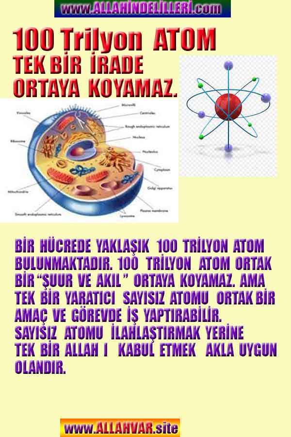 Allahin varlığının delilleri nelerdir?, allahin delilleri, allah in delilleri, allah-delilleri, allah var, #allah