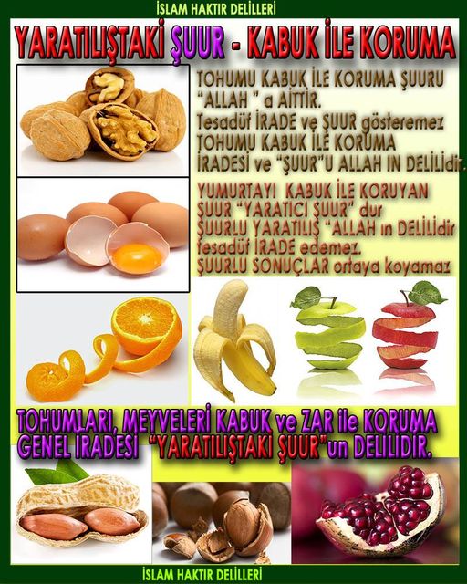 Allahin varlığının delilleri nelerdir?, allahin delilleri, allah in delilleri, allah-delilleri, allah var, #allah