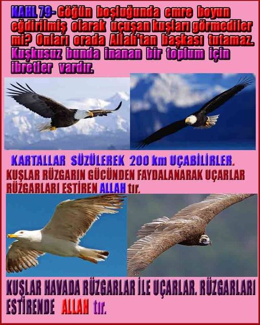 Allahin varlığının delilleri nelerdir?, allahin delilleri, allah in delilleri, allah-delilleri, allah var, #allah