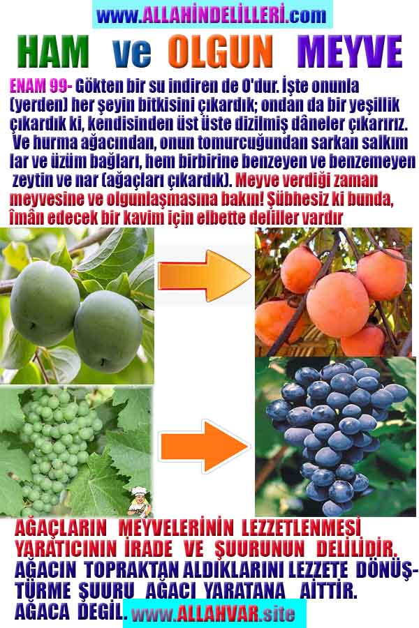 ALLAH, Allahin varlığının delilleri nelerdir?, allahin delilleri, allah in delilleri, allah-delilleri, allah var, #allah