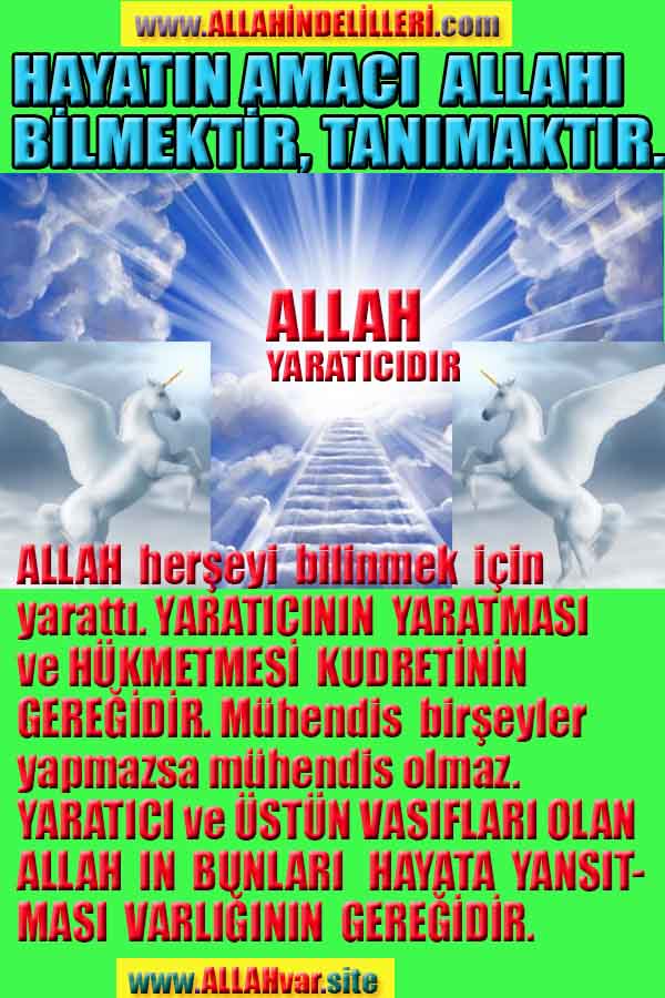 Allahin varlığının delilleri nelerdir?, allahin delilleri, allah in delilleri, allah-delilleri, allah var, #allah