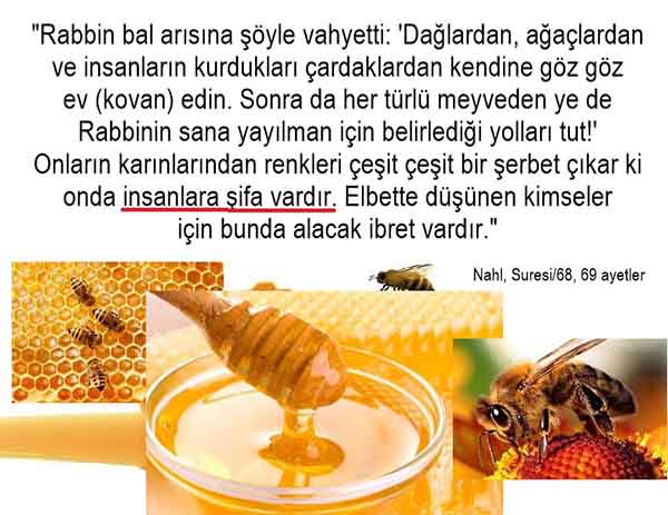 ALLAH, Allahin varlığının delilleri nelerdir?, allahin delilleri, allah in delilleri, allah-delilleri, allah var, #allah