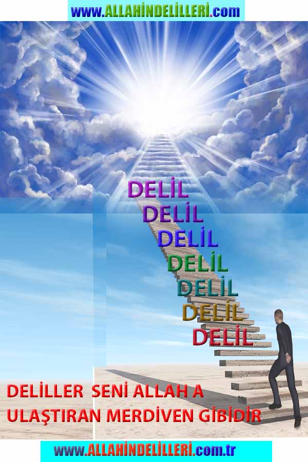 ALLAH, Allahin varlığının delilleri nelerdir?, allahin delilleri, allah in delilleri, allah-delilleri, allah var, #allah
